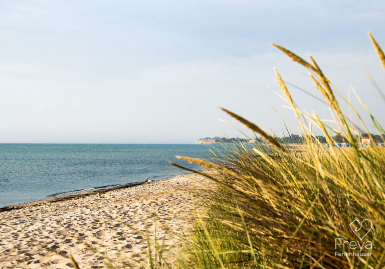 weidefeld_weidefelder_strand_olpenitz_03