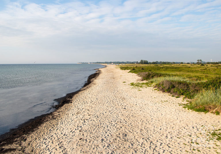weidefeld_weidefelder_strand_olpenitz_05